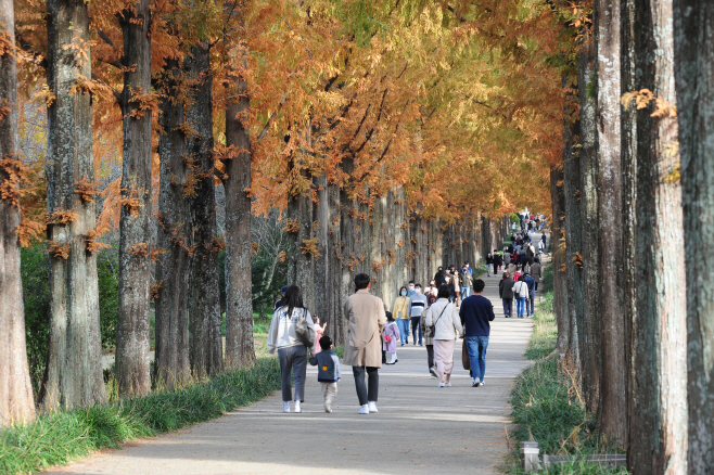 전남산림자원연구소