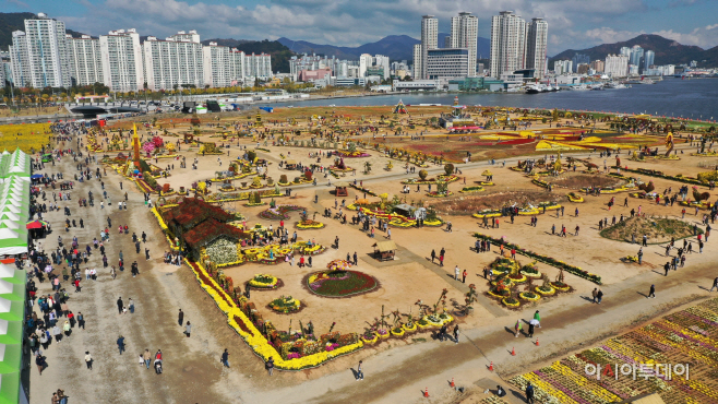 국화축제