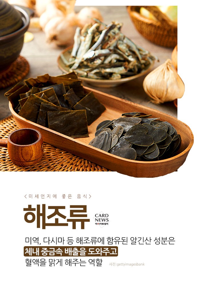 카드 뉴스 이미지