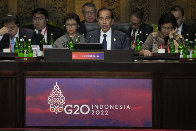 Indonesia G20 <YONHAP NO-3005> (AP)