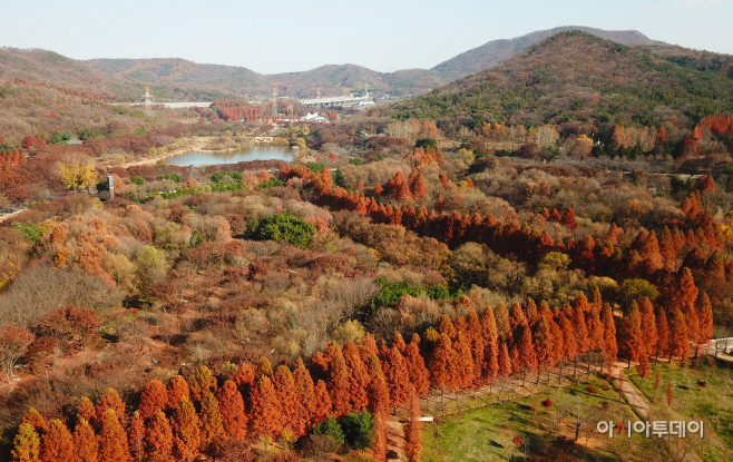 DJI_0025