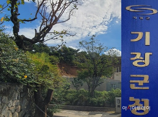 제목 없음
