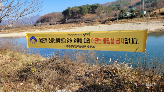양평군