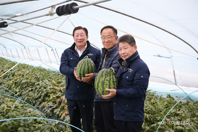 1122 조근제 함안군수, 겨울수박 출하현장 방문1