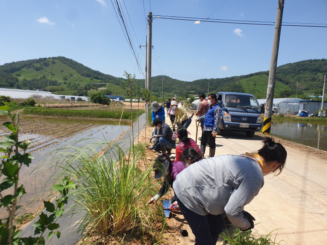 전남도