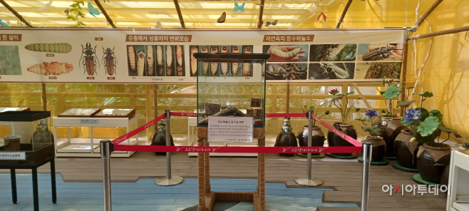 새롭게 출발하는 창녕생태곤충원 특별기획전시(2)