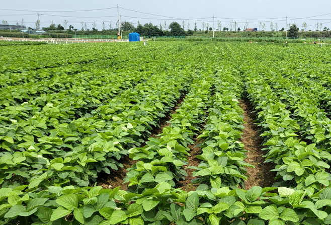 전남농업기술원