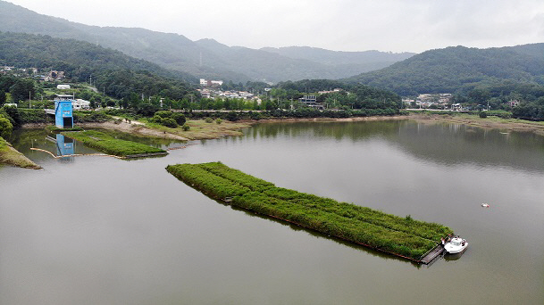 인공 식물섬