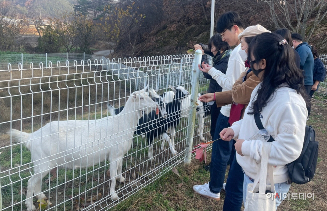 청양군, 사회적경제+로컬 관광 프로그램 제공 3