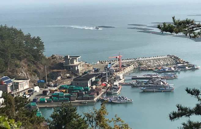 완도군
