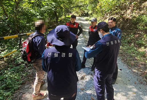 가을철 산림