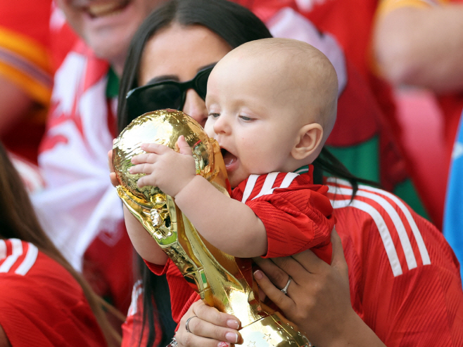 SOCCER-WORLDCUP-WAL-IRN/REPORT