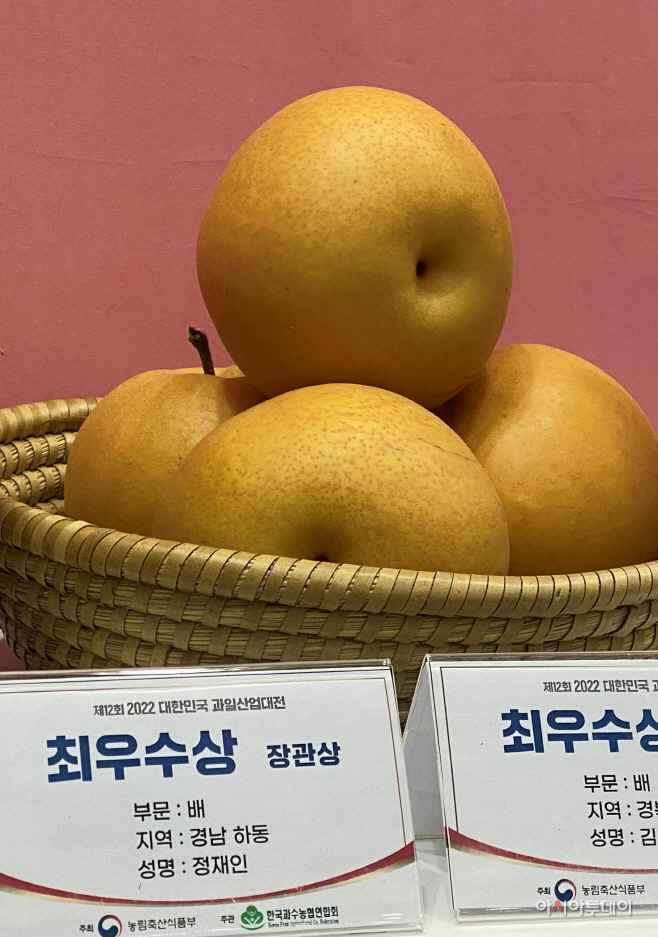 하동 배 대표과일2