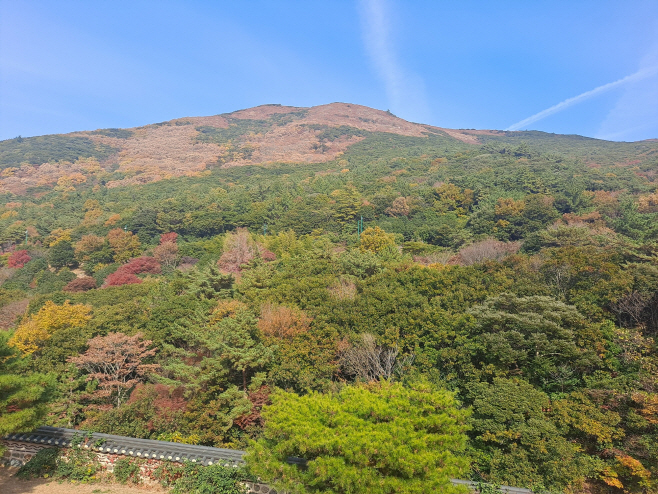 전남도