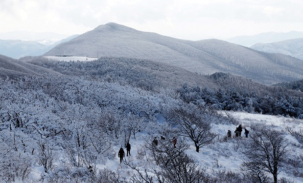 선자령