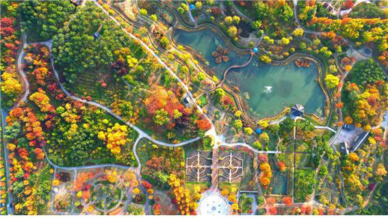 한밭수목원 전경