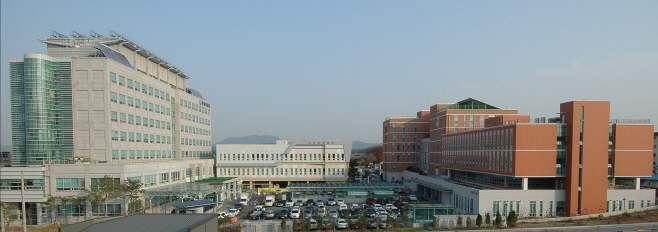 전경 사진