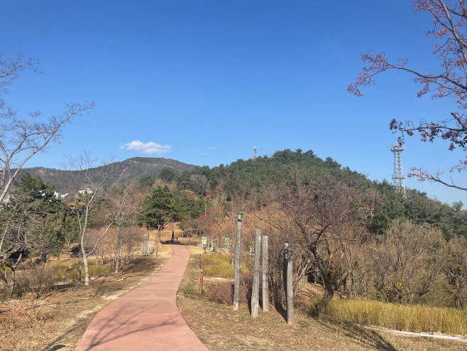 복합산림경관숲 조성