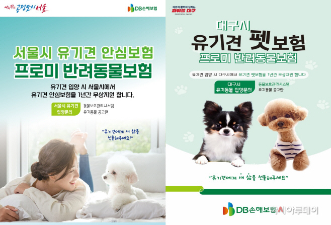 보도자료 사진_DB손해보험 유기견 보험정책