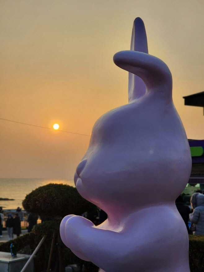 토끼의 해를 맞아 호미곶 해맞이광장에 설치된 토끼 조형물/제