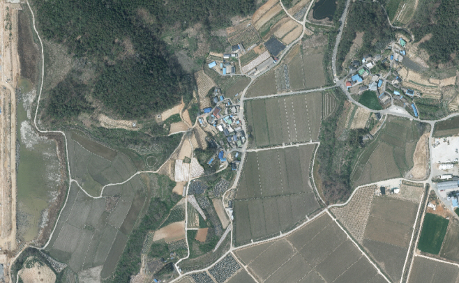 전남도