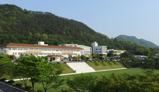 전남도