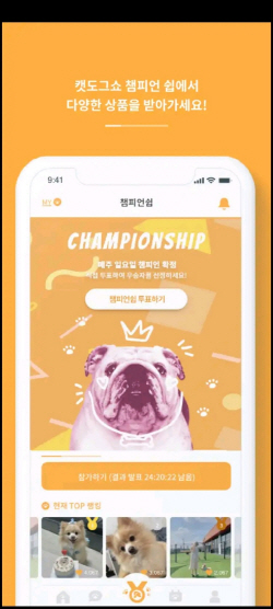 clip20230109172244