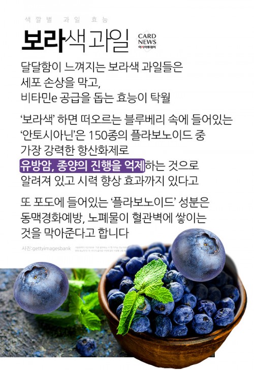 카드 뉴스 이미지