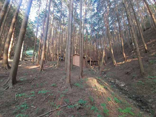 전남도