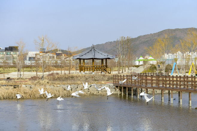 노랑부리저어새