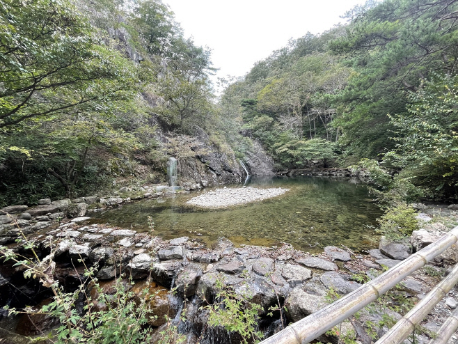 전남도