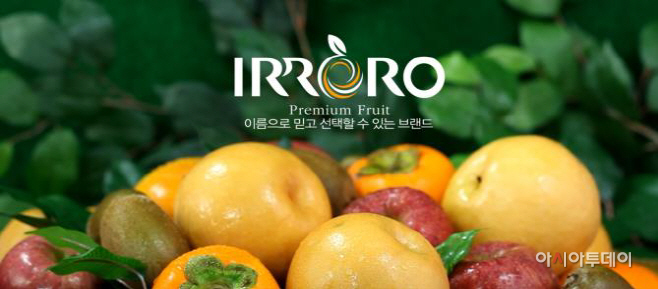 이로로이미지(2)
