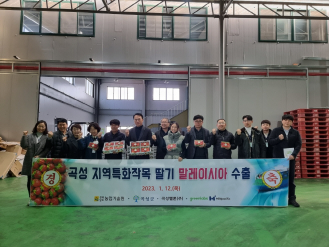 딸기, 말레이시아로 올해 첫 수출