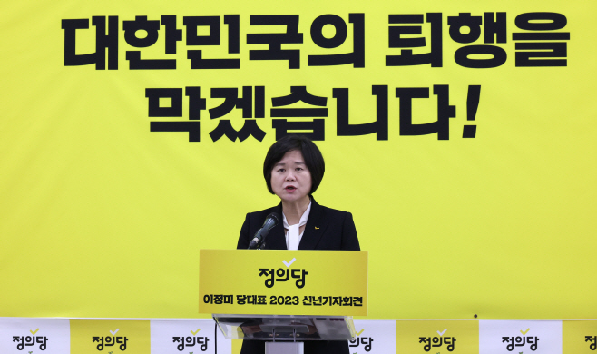 신년 기자회견하는 이정미 대표