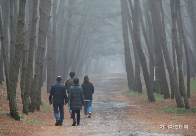 태안군, “설 명절 힐링 여행 태안으로 여행오세요”