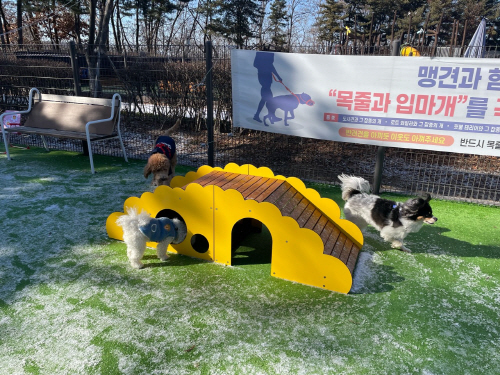 사진3) 양천구, 용왕산공원 반려견쉼터에 추가설치된 놀이시설