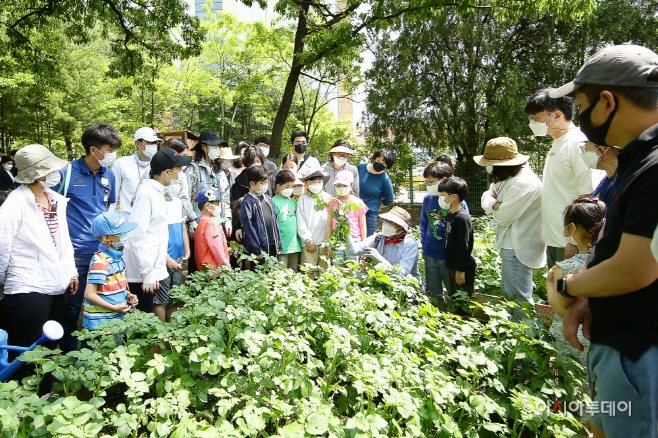 1.(사진)온가족텃밭교실(2)