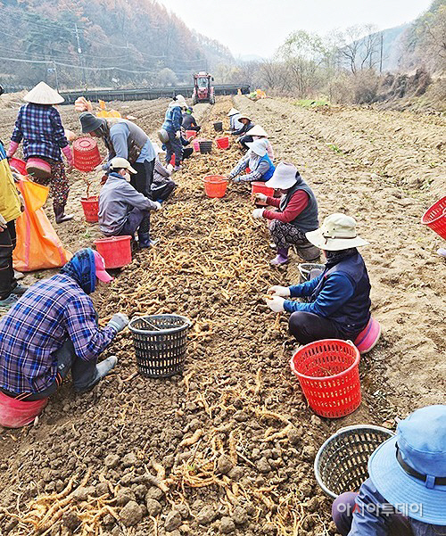 외국인