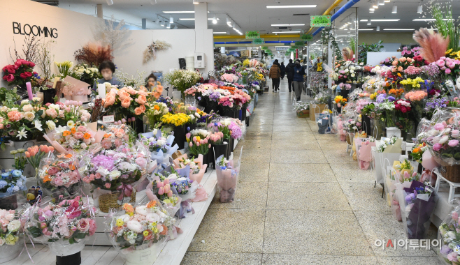 DSC_0704 사본