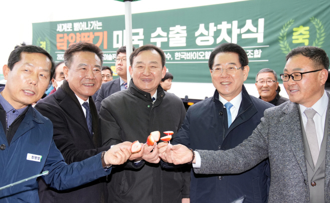 전남도