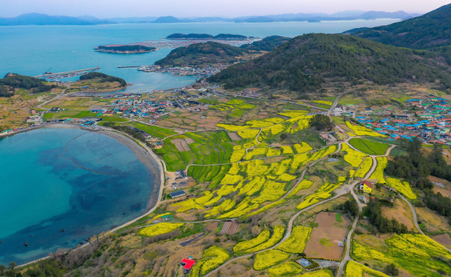 전남도