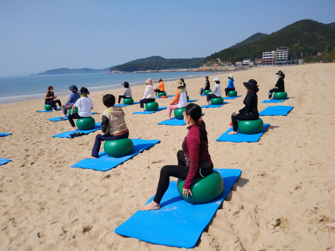 완도군