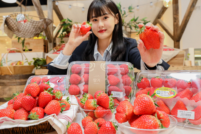 딸기백화점 (1)