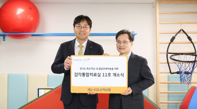 KB손보
