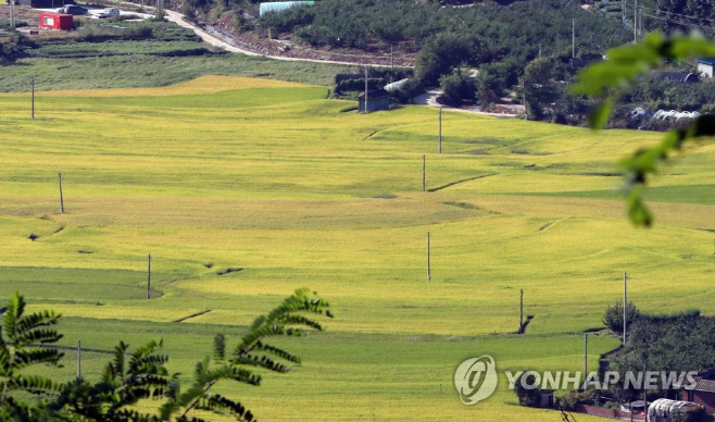 귀농 연합사진