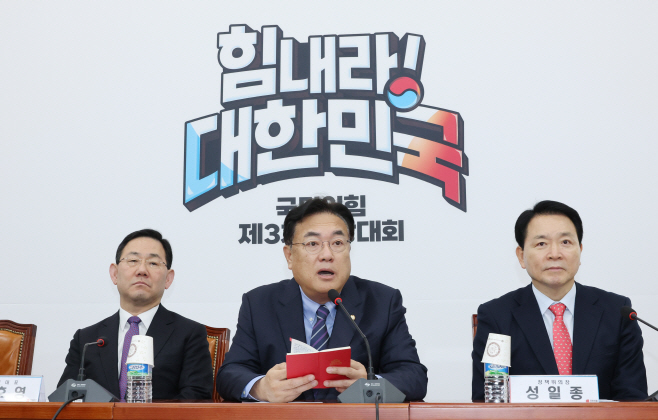 국민의힘 비상대책위원회의