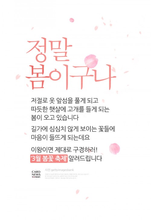 카드 뉴스 이미지