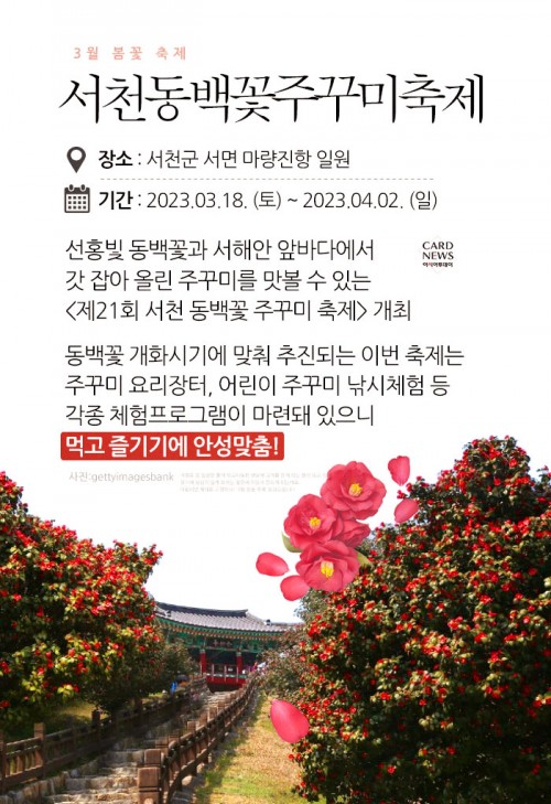 카드 뉴스 이미지