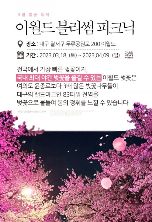 카드 뉴스 이미지