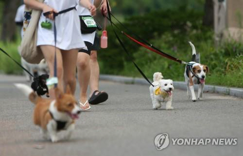 반려동물